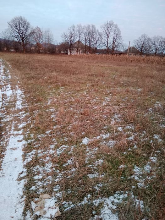 Продам участок в с. Білки під будівництво