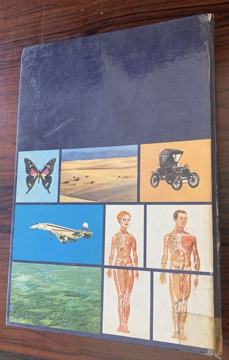 Dicionário Básico e ilustrado