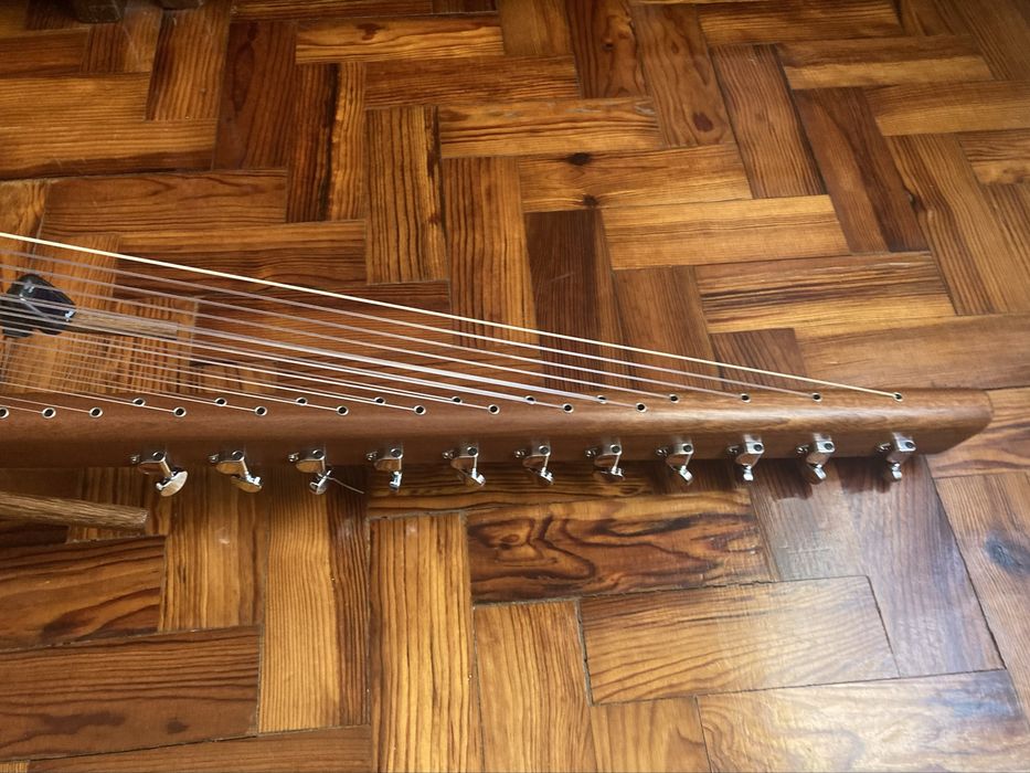 Kora profissional
