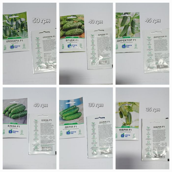 Насіння огірків, самозапильні, партернокарпічні, гібридні, семена огур