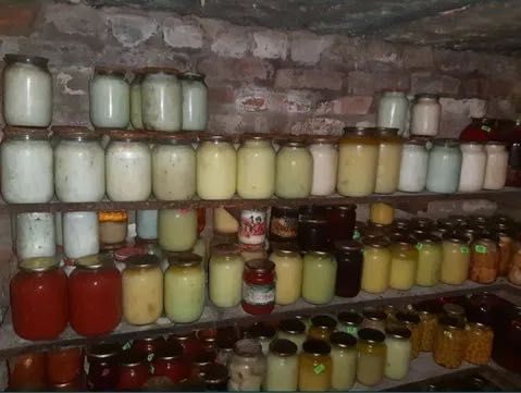 Продам домашній гусячий жир