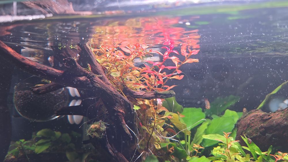 Gotowa aranżacja wwraz z roślinami!