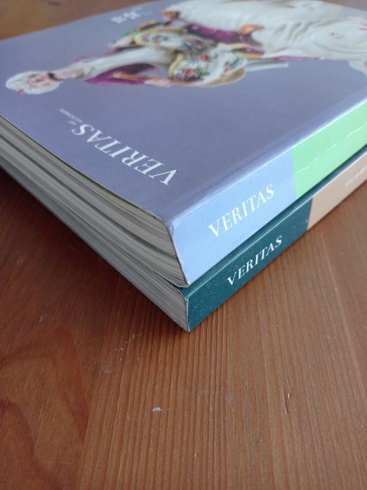 Veritas - Art auctioneers