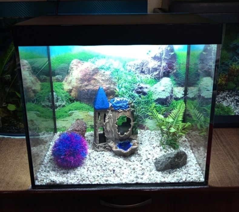 Аквариум 35 литров полный комплект