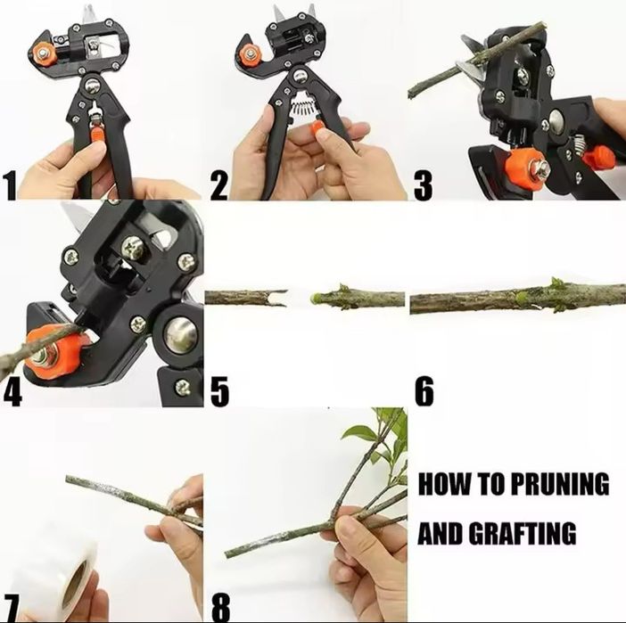 Tesoura de enxertia e poda