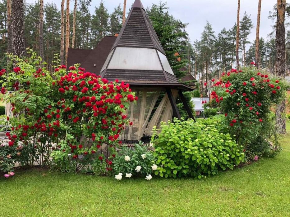 Продаж будинку в Лісовій Бучі