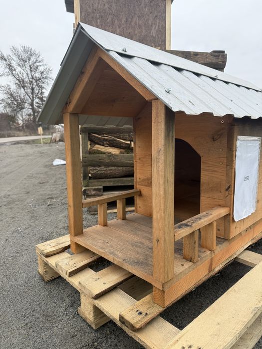 Собача бада нова дуб