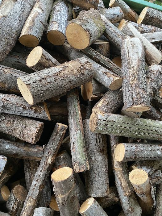 Drewno opałowe olcha