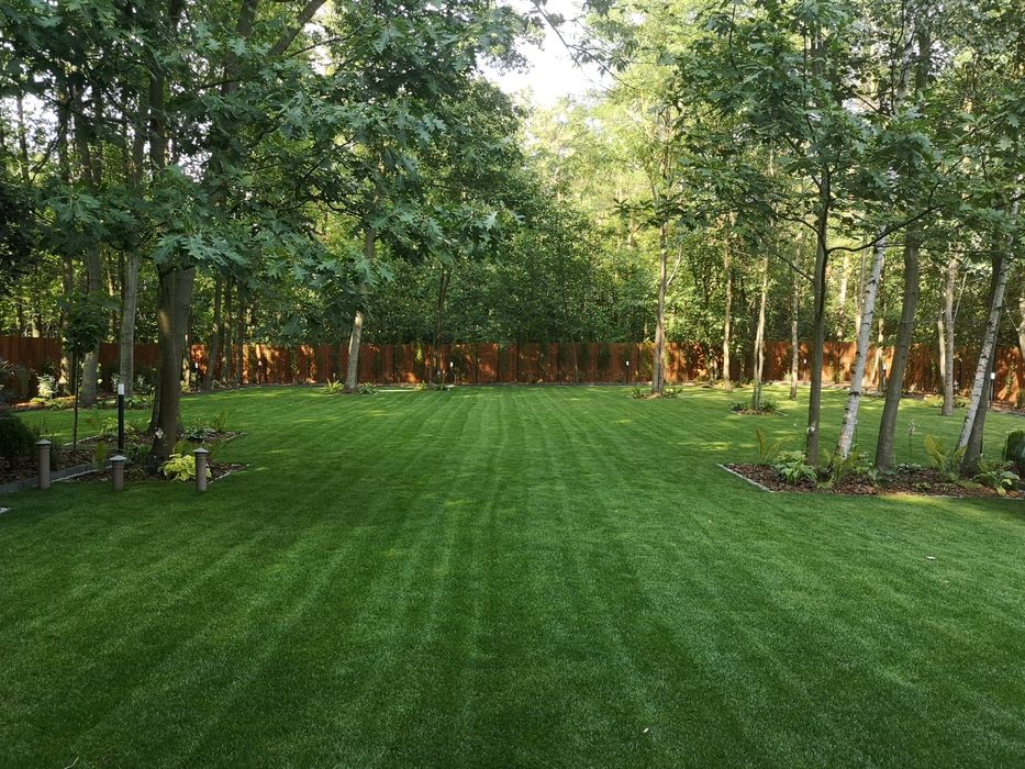 *Trawnik z rolki* trawnik siany * automatyczne nawadnianie