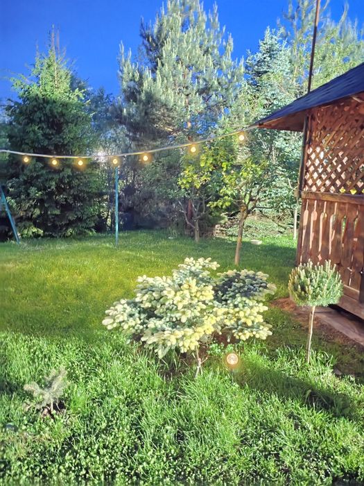 Квартира, студіо, номери, кімнати, будинок, вілла, приватний сектор