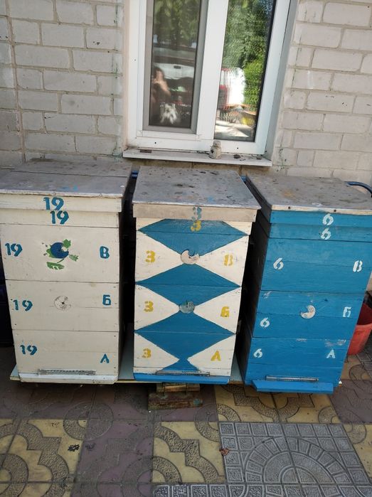 Вулики б у 600 грн