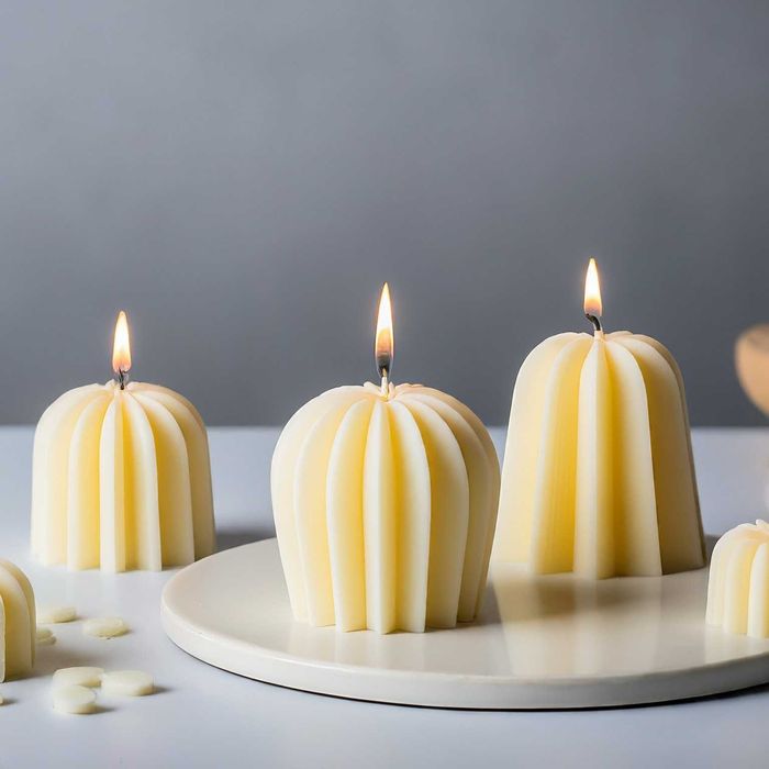 Cera de Soja Natural para Velas de Moldes 1kg