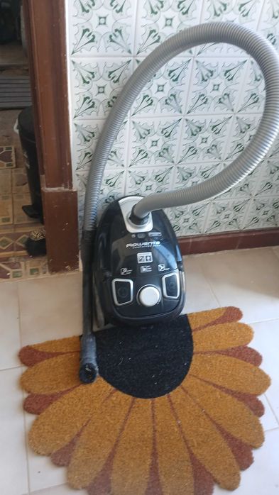 Aspirador Rowenda 650W