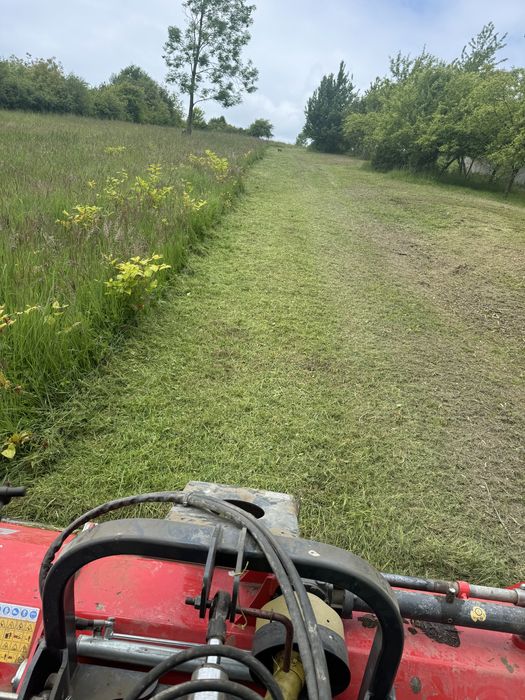 Koszenie łąk, nieużytków, czyszczenie działek z zarośli