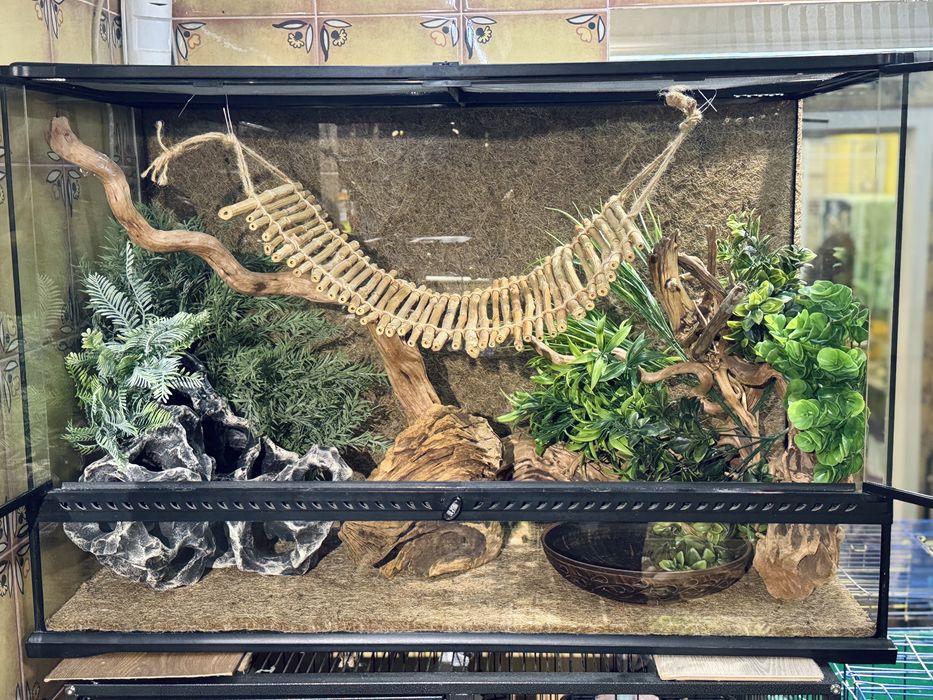 Терраріум та обладнання для хамелеона, гекона, ігуани, пітона, полоза