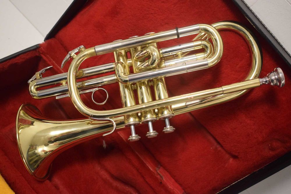 Corneta Blassing  com estoijo. N 13