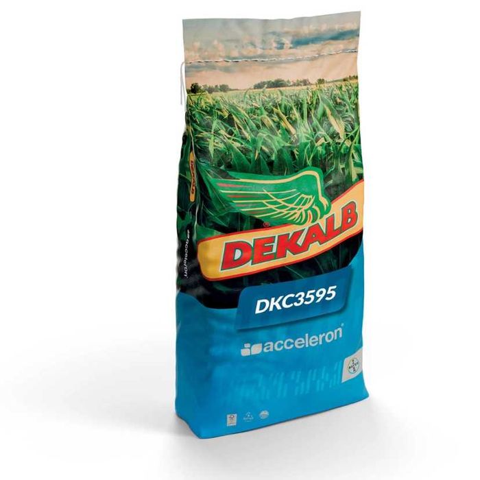 Kukurydza DKC 3595 + KORIT opak. 50 tyś. nasion FAO 240-250