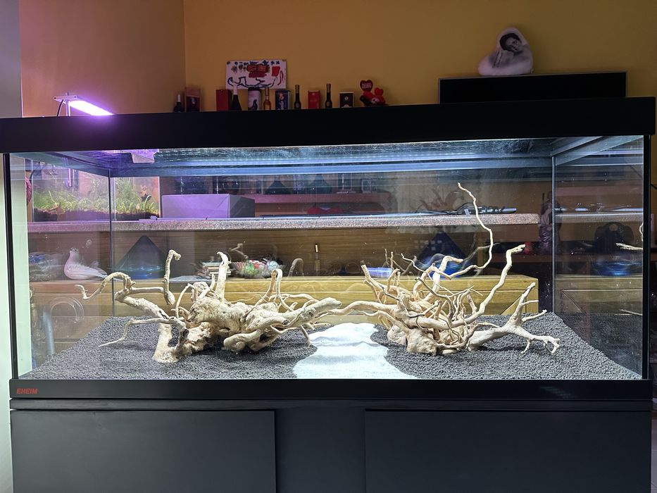 Aquario e movel Eheim