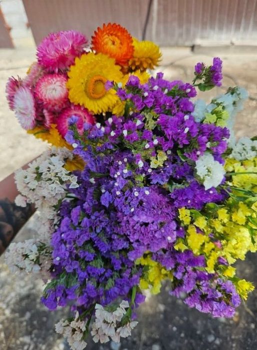 Zaytwian kwiaty suche 3 peki