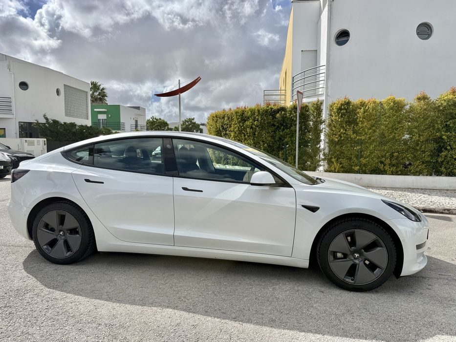 Tesla Model3 2021 Standard range plus518739319336488966