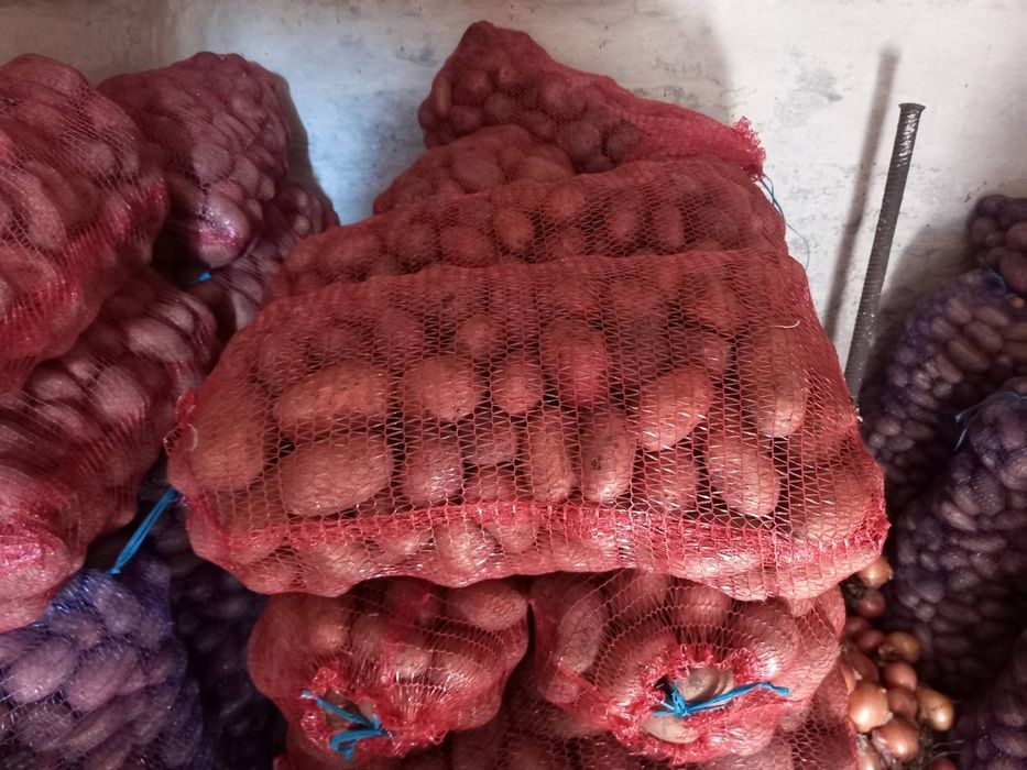 Продам картоплю (сорт славянка)