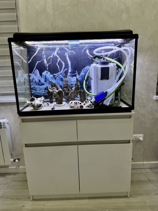 Аквариум 240л ,тумба,фильтр и т.д