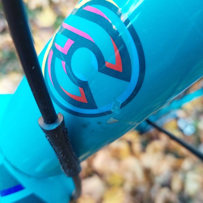 Cinelli King Zydeco L