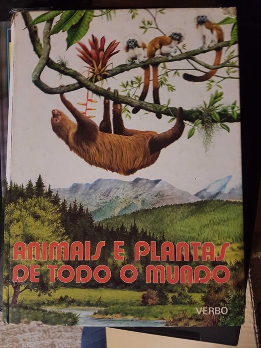 Livros diversos1
