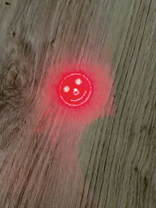 Ponteira LED para pets