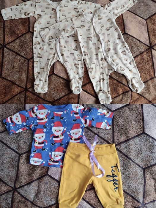 Продам/віддам 3-6 місяців