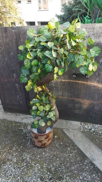 Sztuczne Drzewko Drzewo Kwiatek 150cm wysokości