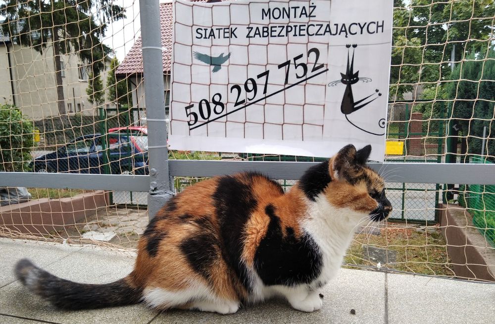 Siatka zabezpieczająca balkon, siatka dla kota