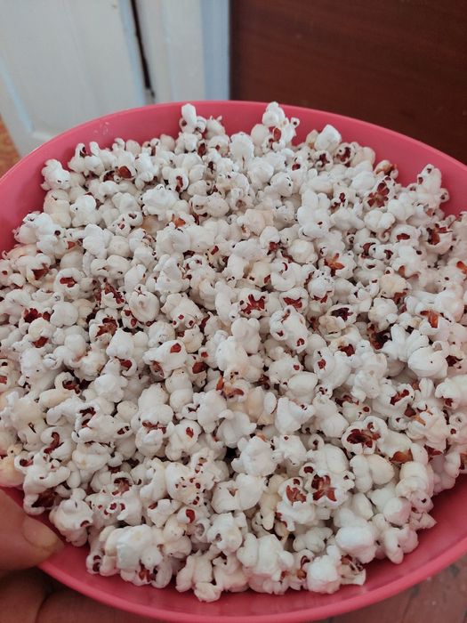 Кукурудза попкорн