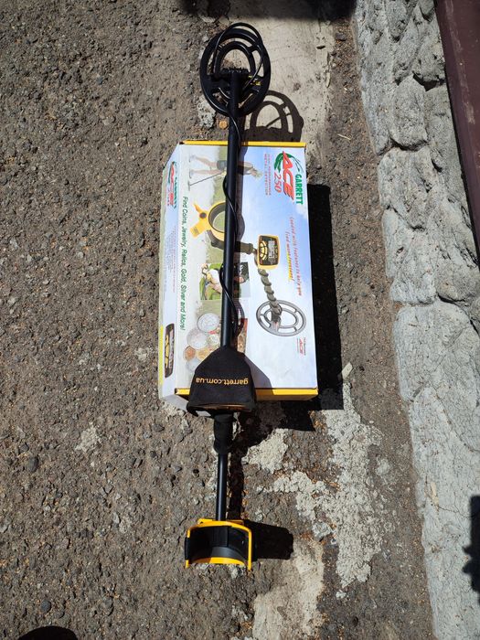 Garret ACE 250 (новий)