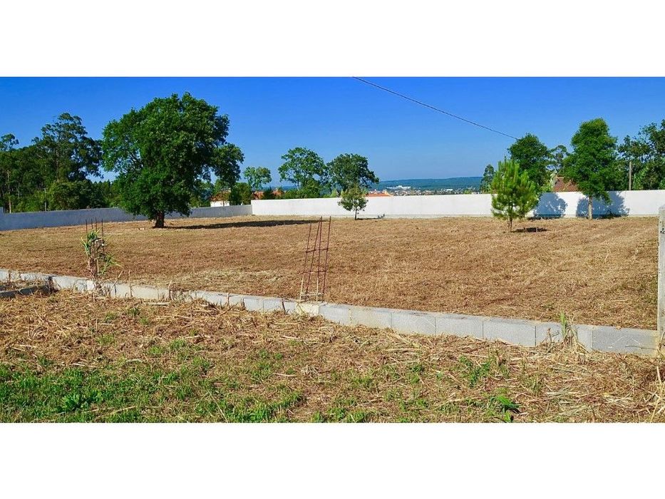 Terrenos para construção na zona de Monte Real — Monte Real E Carvide, Leiria