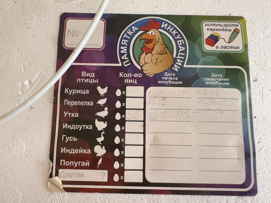 Інкубатор Рябушка