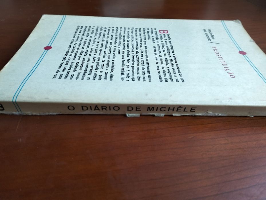 Livro "O Diário de Michele"
