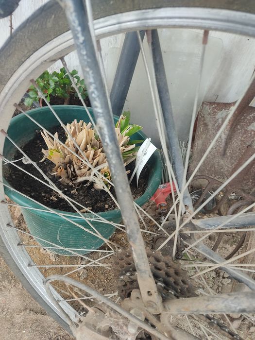 Cadeira para criança de bicicleta