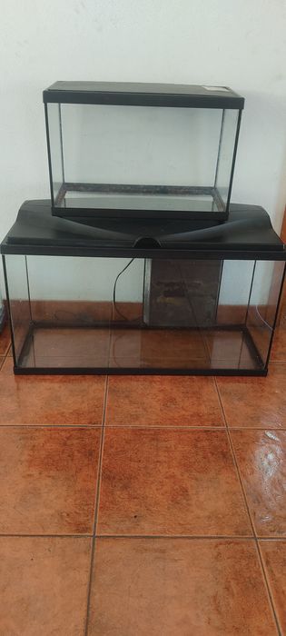 Três aquarios+peixes