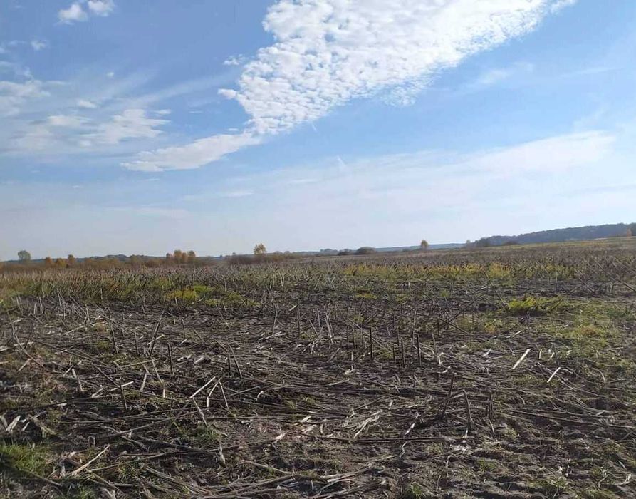 Продам приватизовану земельну ділянку