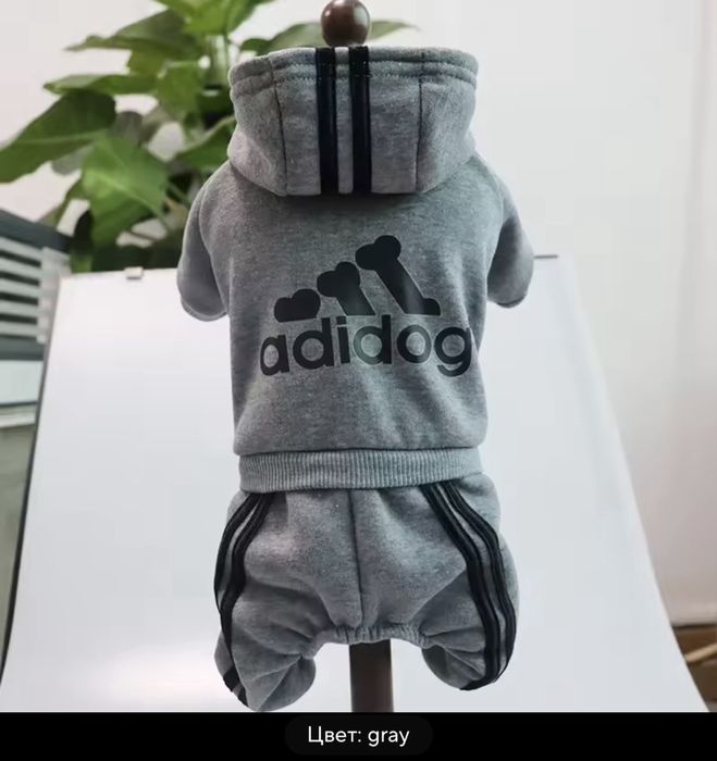 Одежда для собак