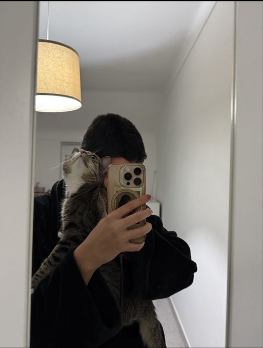 Pet sitting + pet boarding + dog walking