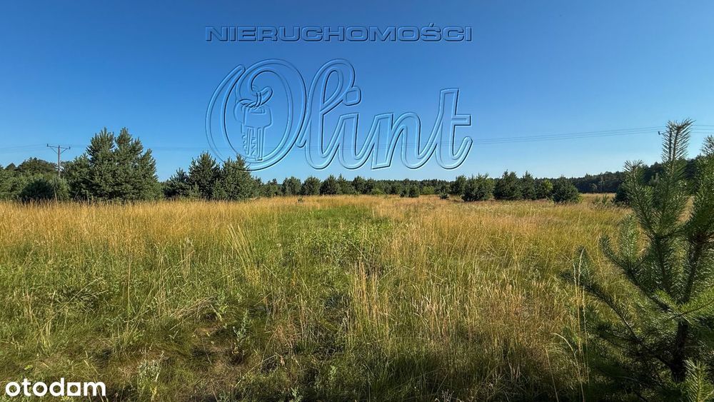Teren gotowy na inwestycję - Widok 3