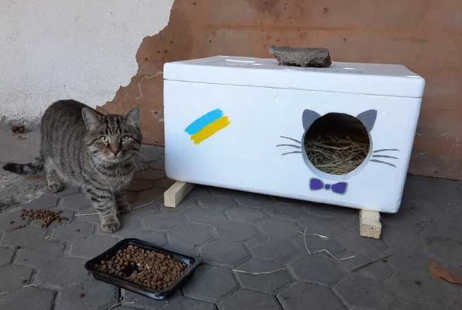 Будиночок, домік для котиків