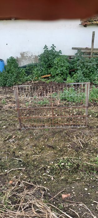 Manjedoura para cabras e ovelhas.