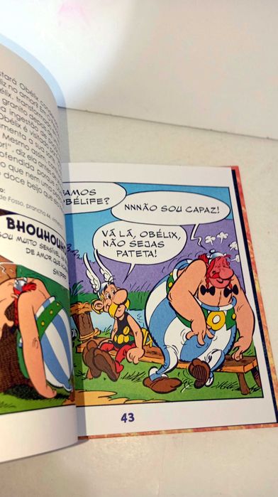 Asterix - Tudo sobre Obélix