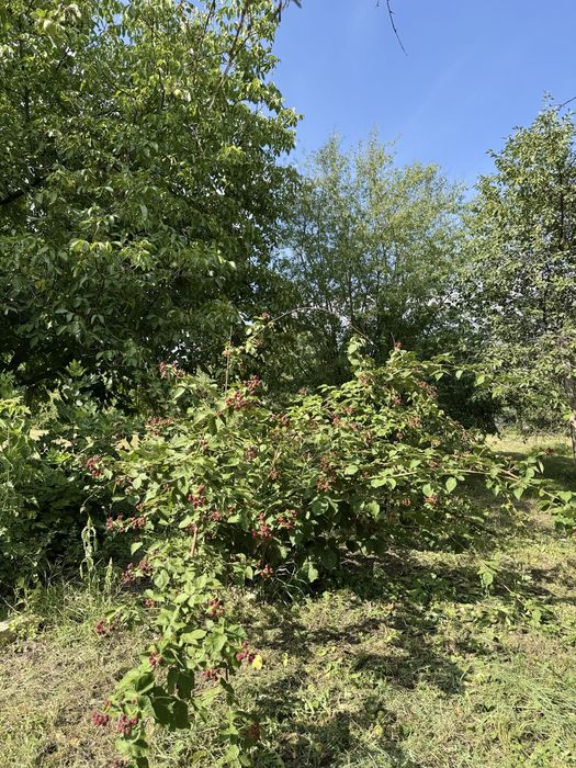 Будинок на першій лінії ставка