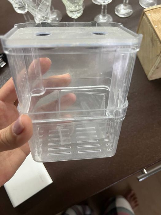 Відсадник для риб мольків