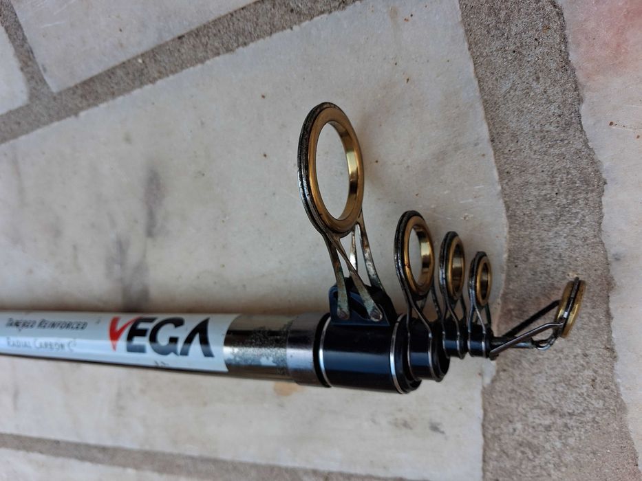 Cana de pesca Vega Divina Titânio 4,60m