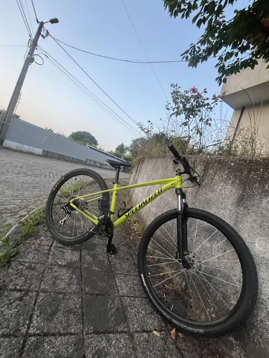 Specialized rockhopper 29